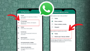 Como Aparecer OffLine no WhatsApp: Aprenda o Passo à Passo