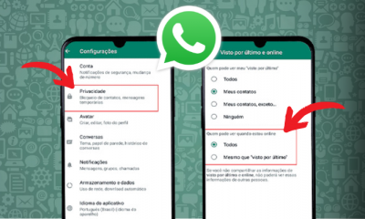 Como Aparecer OffLine no WhatsApp: Aprenda o Passo à Passo